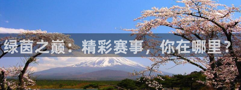 绿茵之巅：精彩赛事，你在哪里？