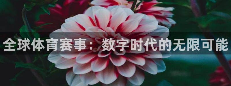 全球体育赛事：数字时代的无限可能