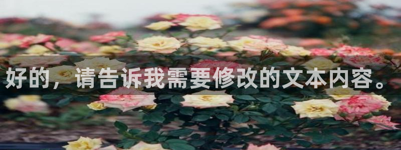 好的，请告诉我需要修改的文本内容。
